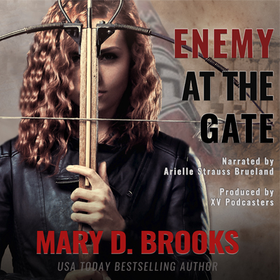 Audiobook: Enemy at the Gate by Mary D. Brooks